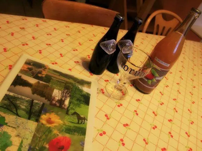 Modern Farmhouse In With Terrace * Chassepierre